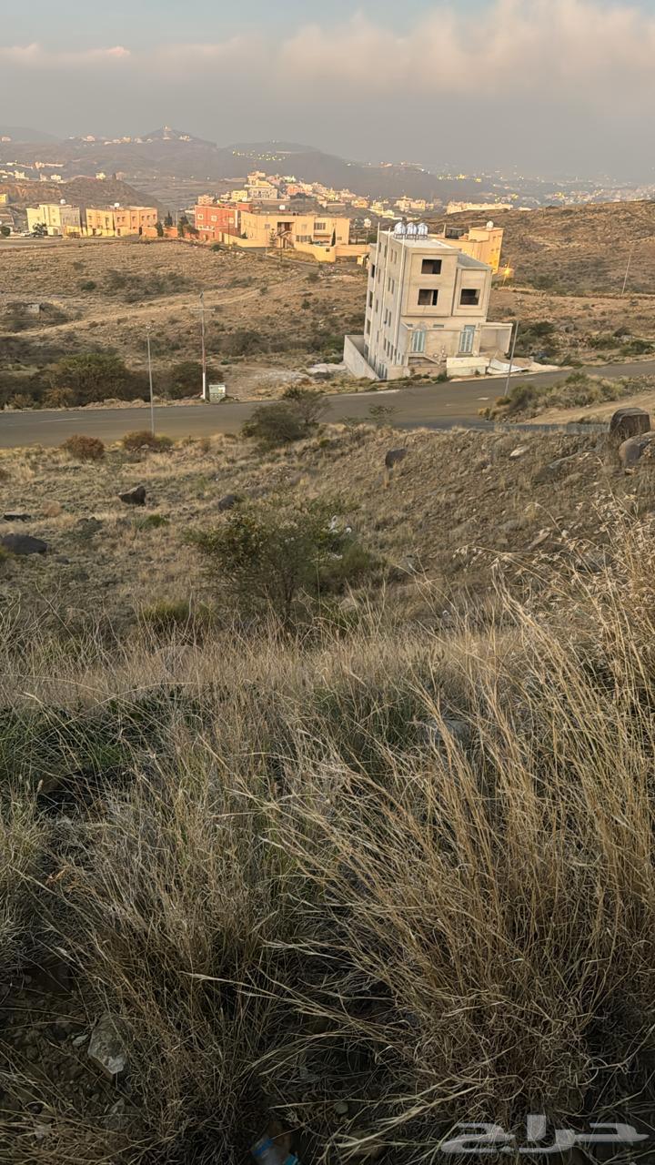 Residential land for sale in Abha63013825319811111