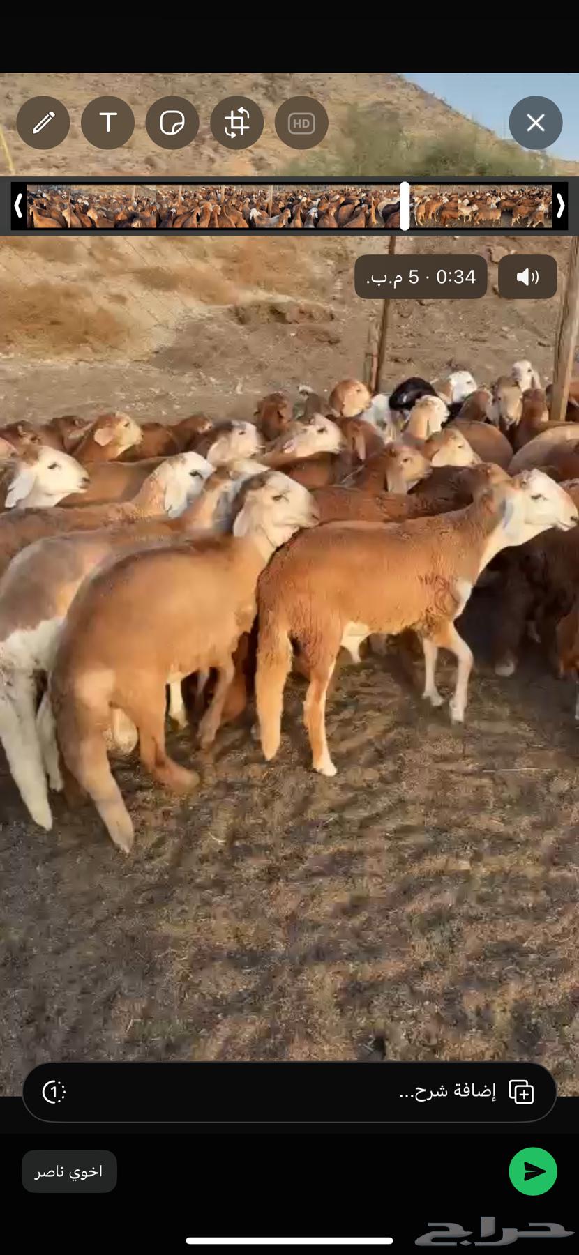 سواكن مرباا 1350634706551152661120