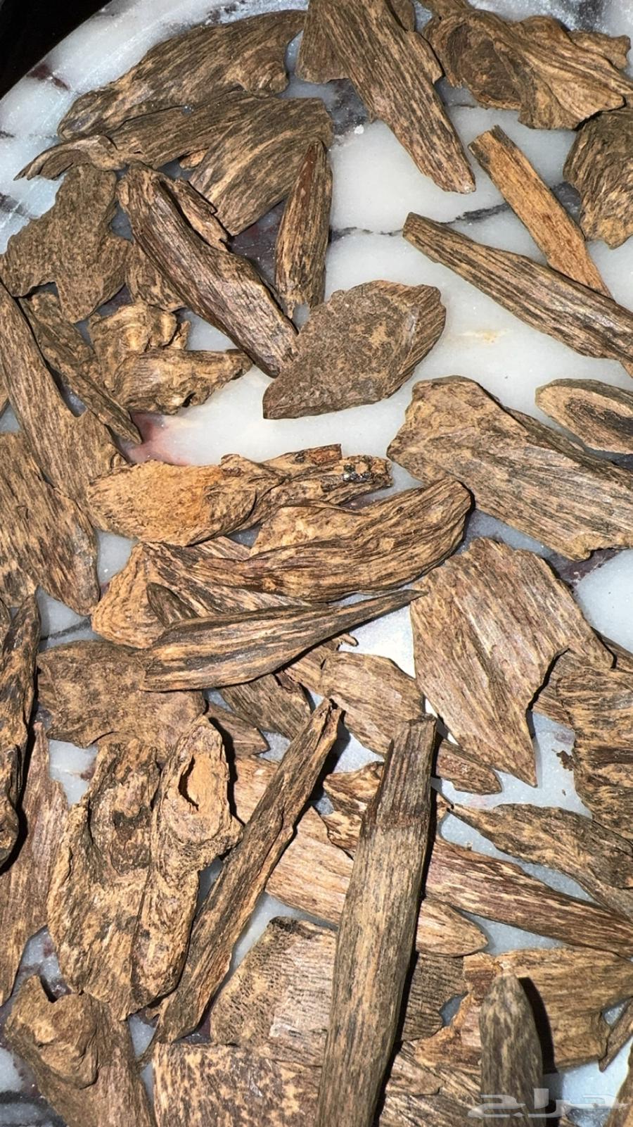 عود ماليزي قديم مفروز نسبة أندر وتر63022417207681111