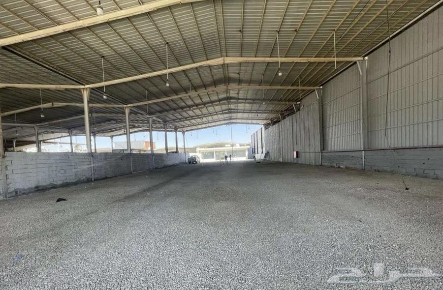 للايجار معرض سيارات بحي المعارض ببريدة جاهز فورا  للعمل63012956950531111