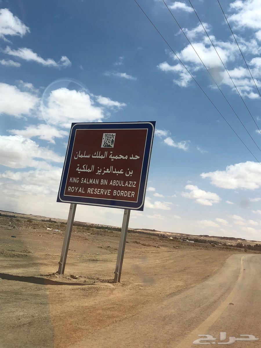 للبيع مزرعه بتيماء63012971589122112