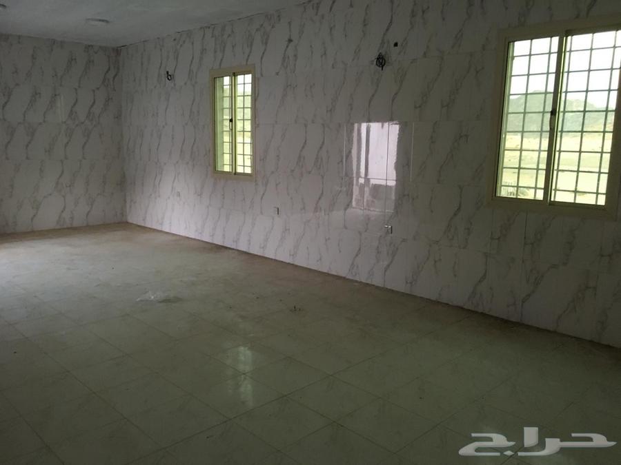 Horse stables for rent, 4000 square meters, with an electricity meter and a large room.63012484205443112