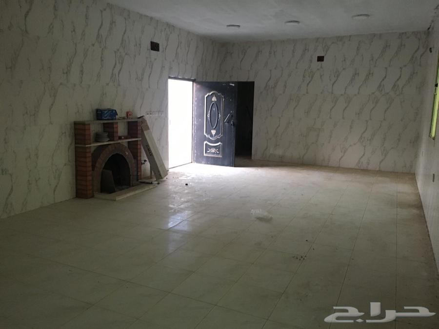 Horse stables for rent, 4000 square meters, with an electricity meter and a large room.63012484205443113
