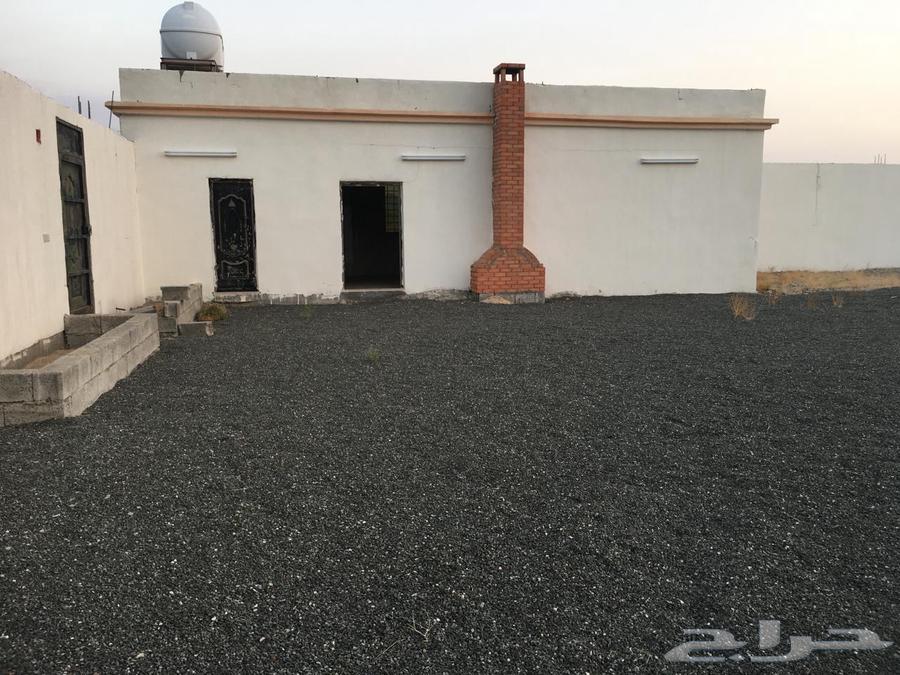 حوش للايجار مساحة 4000م بعداد كهرباء وغرفة كبيرة630124842054431128