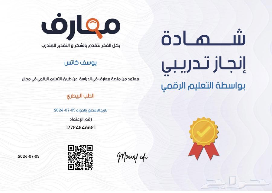 قط ذكر للتزاوج سكوتش فولد و فندقة قطط63021958657153111