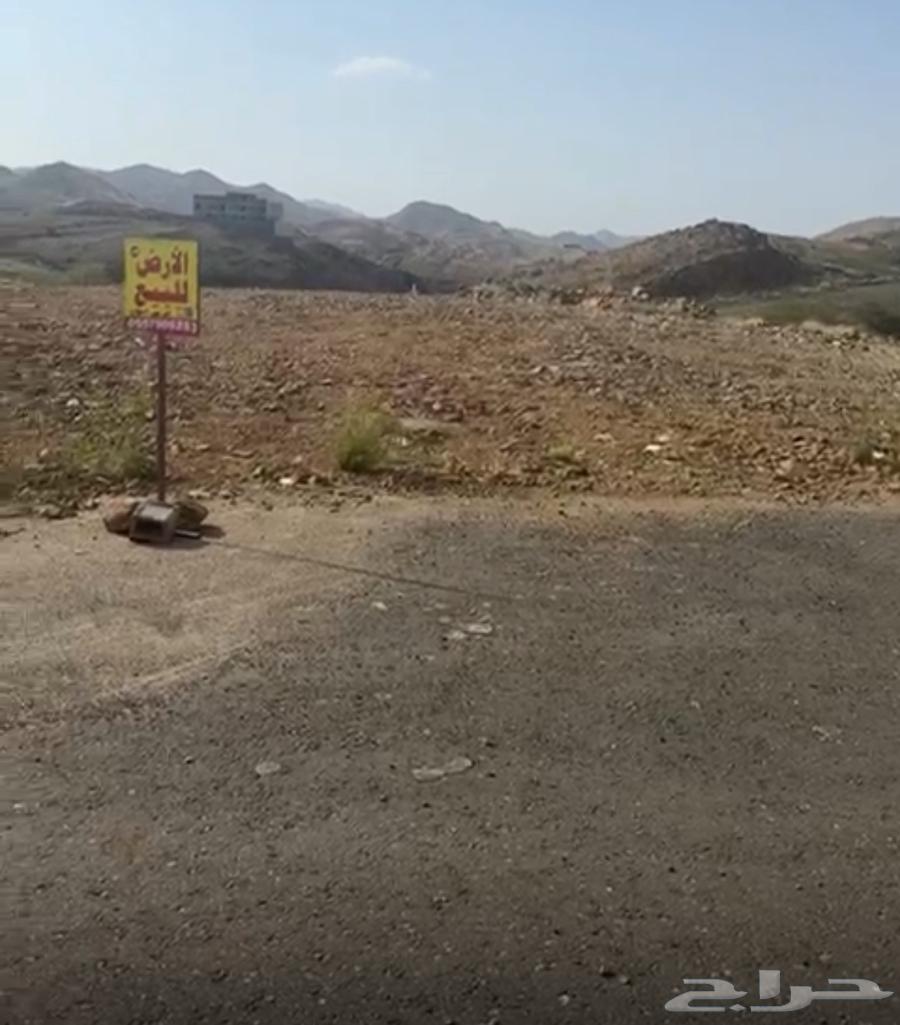 ارض للبيع مخطط شامية آل عاصم ابها مستويه630124842270731128