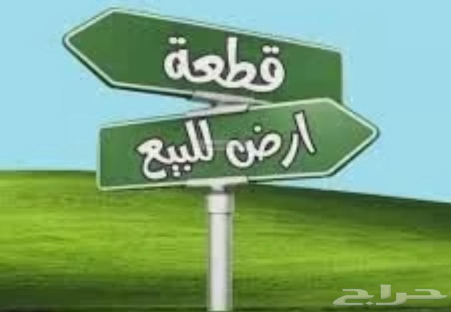 ارض للبيع