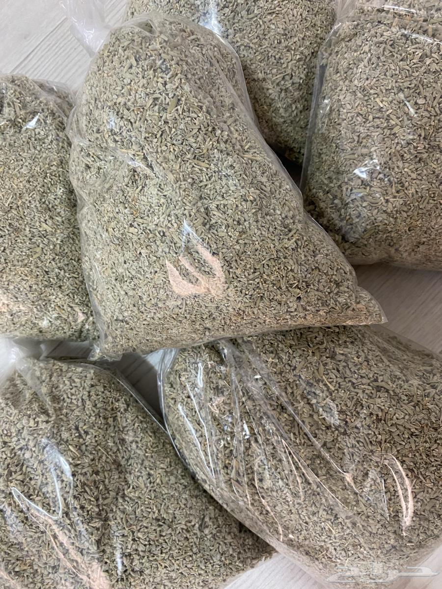 Wild thyme63021975315201112