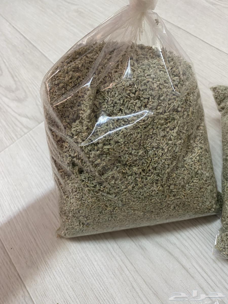 Wild thyme63021975315201111