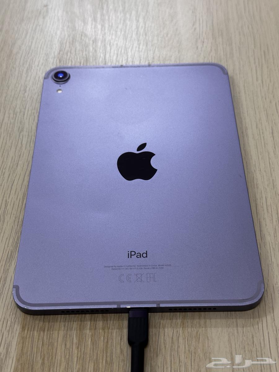 For sale: Used iPad mini 6 256 GB Wi-Fi + Cellular630229126506251115
