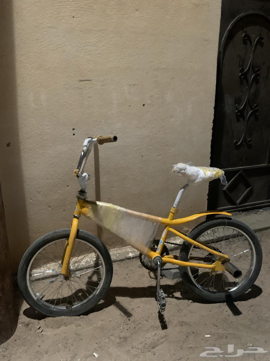 Cobra bike medium size630224228177931116