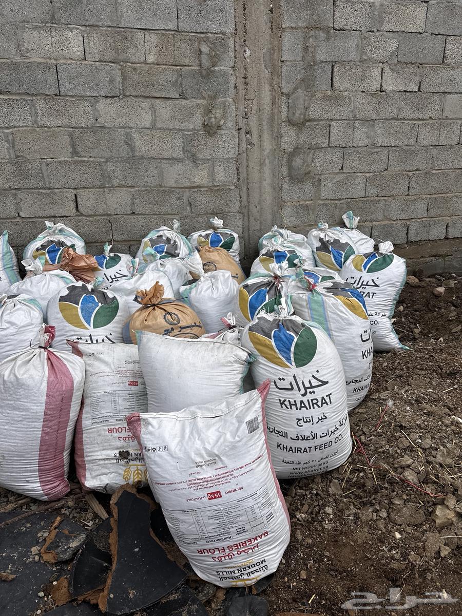 سماد دواجن الكيس ب 5 ريال63020224253059112