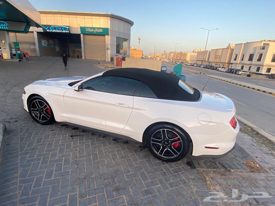 موستنج 2020 كشف63055054193666113