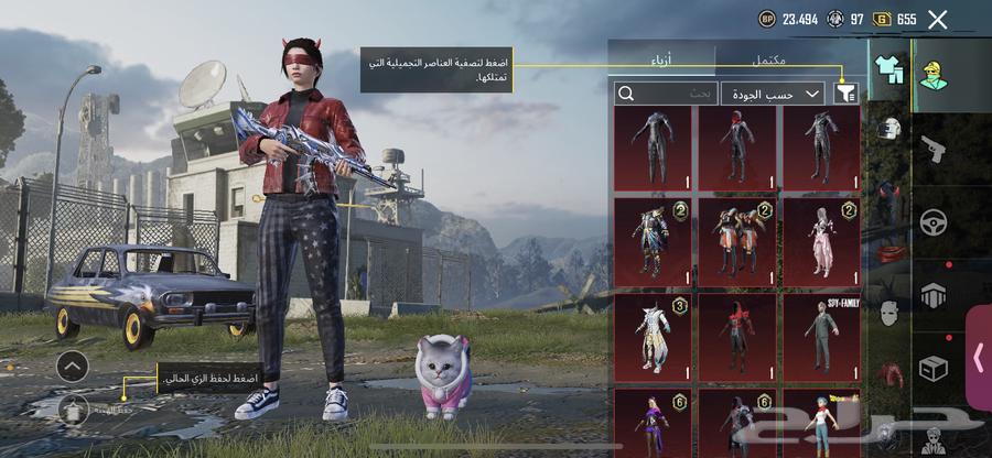 PUBG account, account level 68630224284101131116