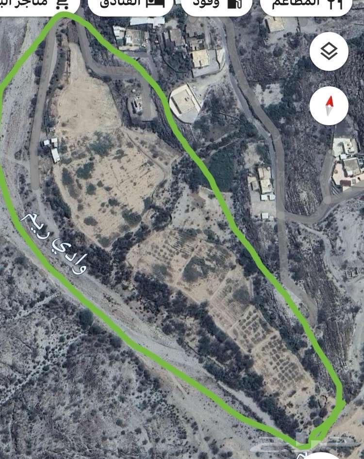 مزرعة للبيع برجال المع630124851968011127