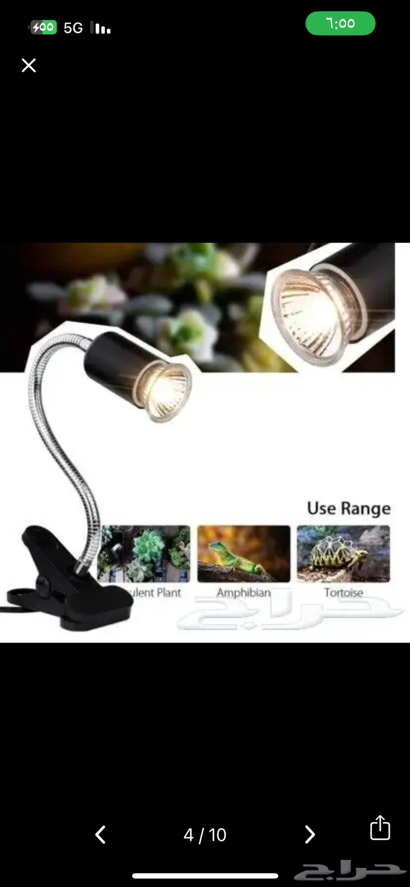 Ready-made turtle basin63020626414339119