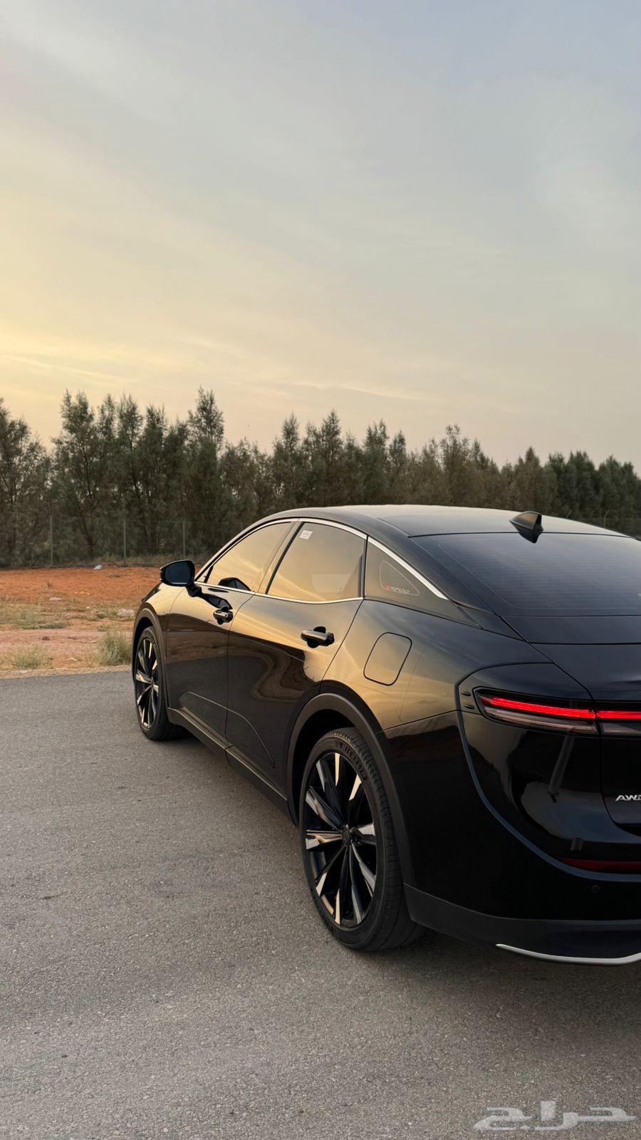 كراون وكالة (نظيف) 2023 ((للتنازل)بدون مقابل63023612708353119