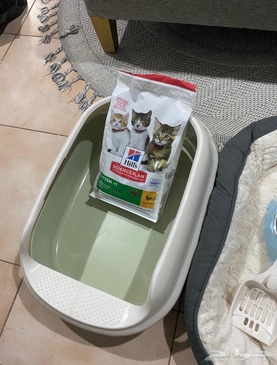 Complete cat supplies63019307580675111
