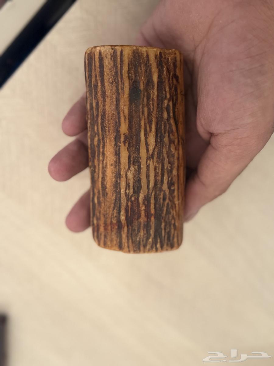 قرن ثعبان63018902228995113