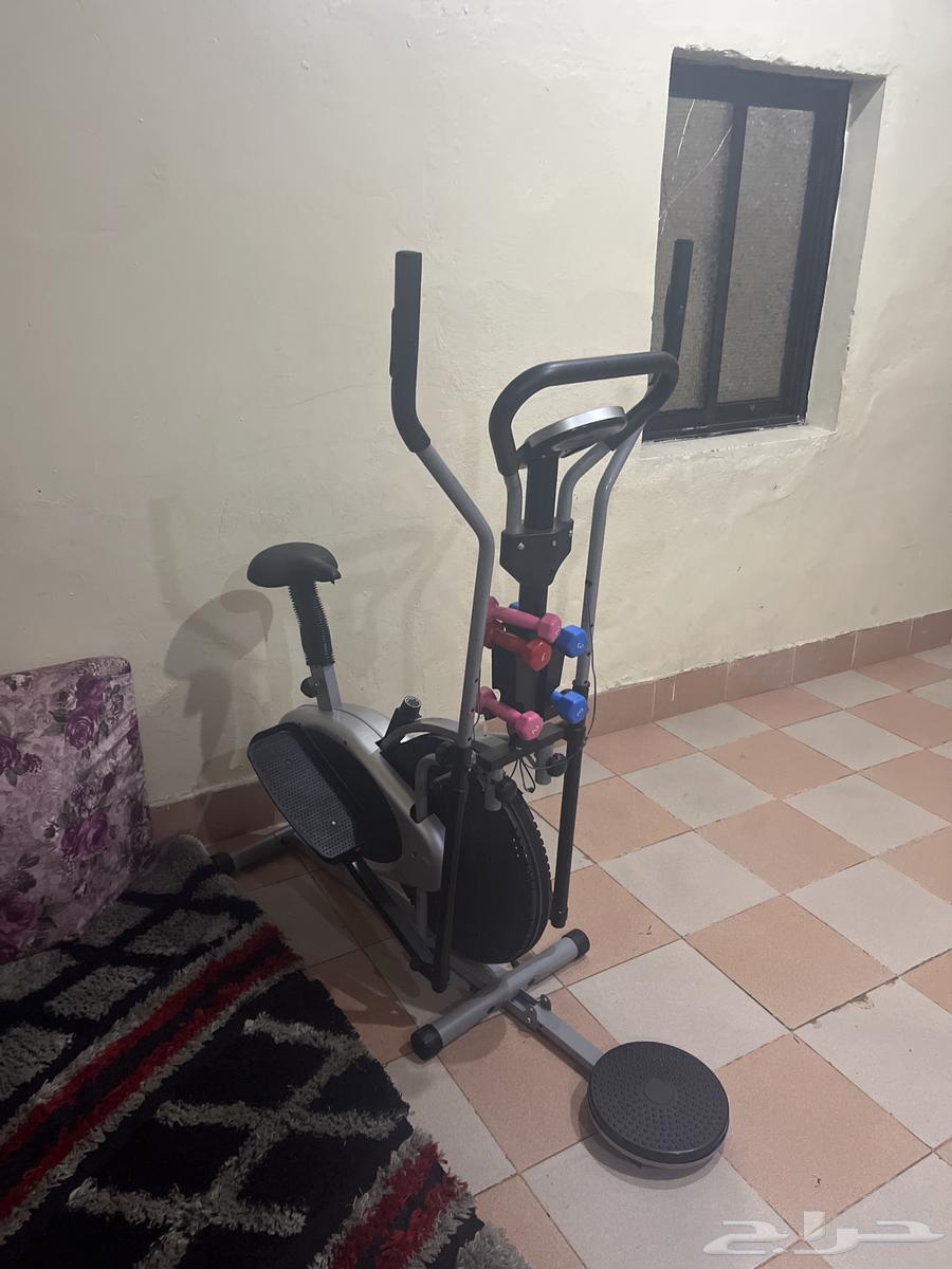 Sir630197557300501126