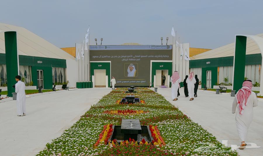 تأجير خيام أوروبية فاخرة63021109593857111