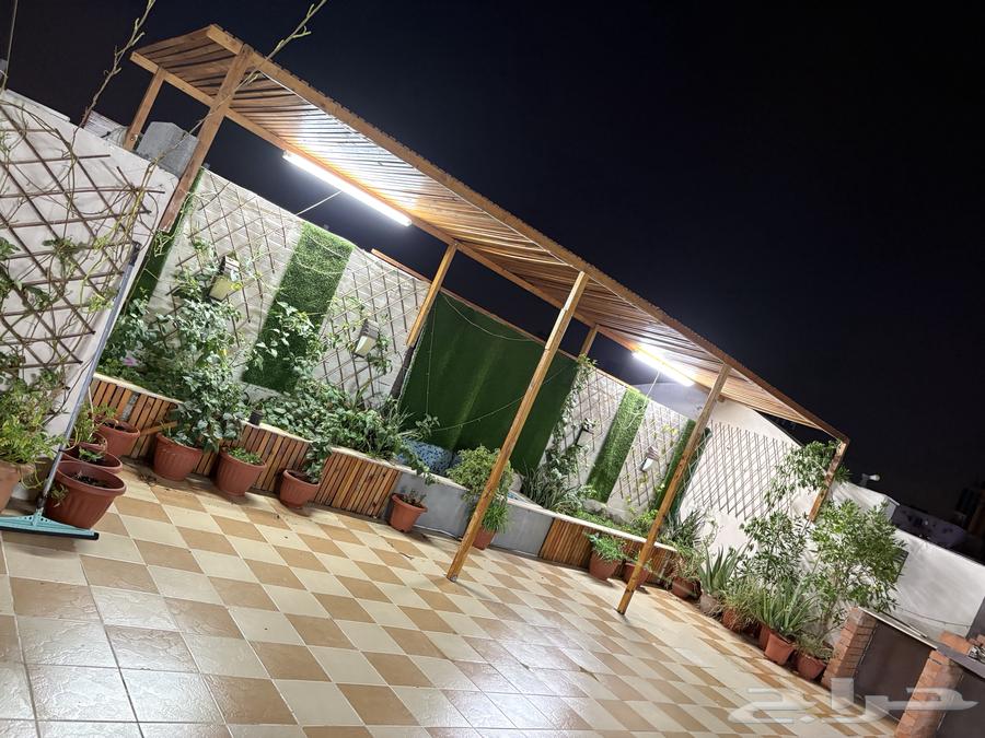 زرع63020264303745114