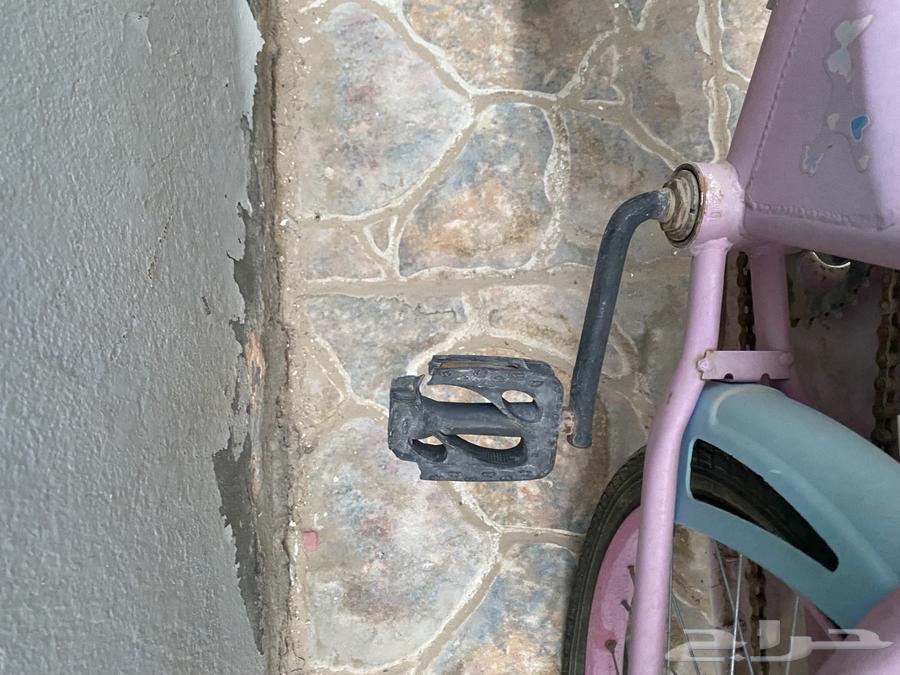 سيكل دراجة63018399598211112