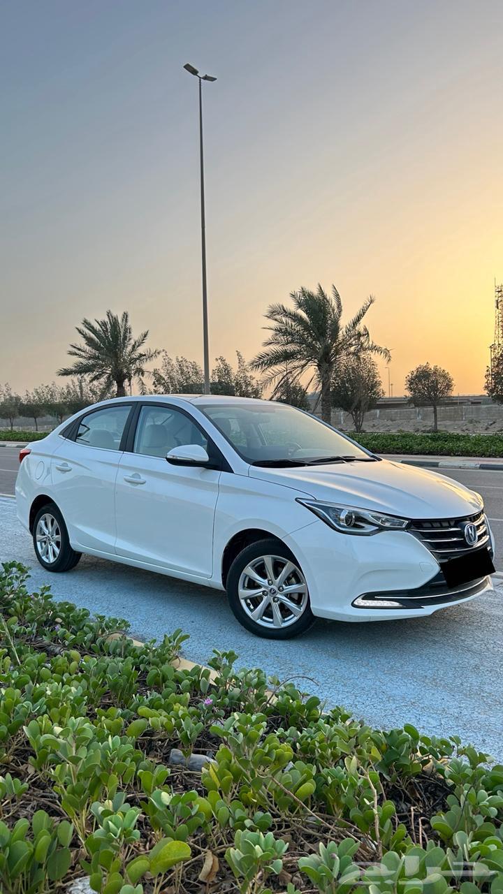 شانجان السفن 2025 فل كامل(( تم البيع الله يبارك للمشتري))63023194949890114