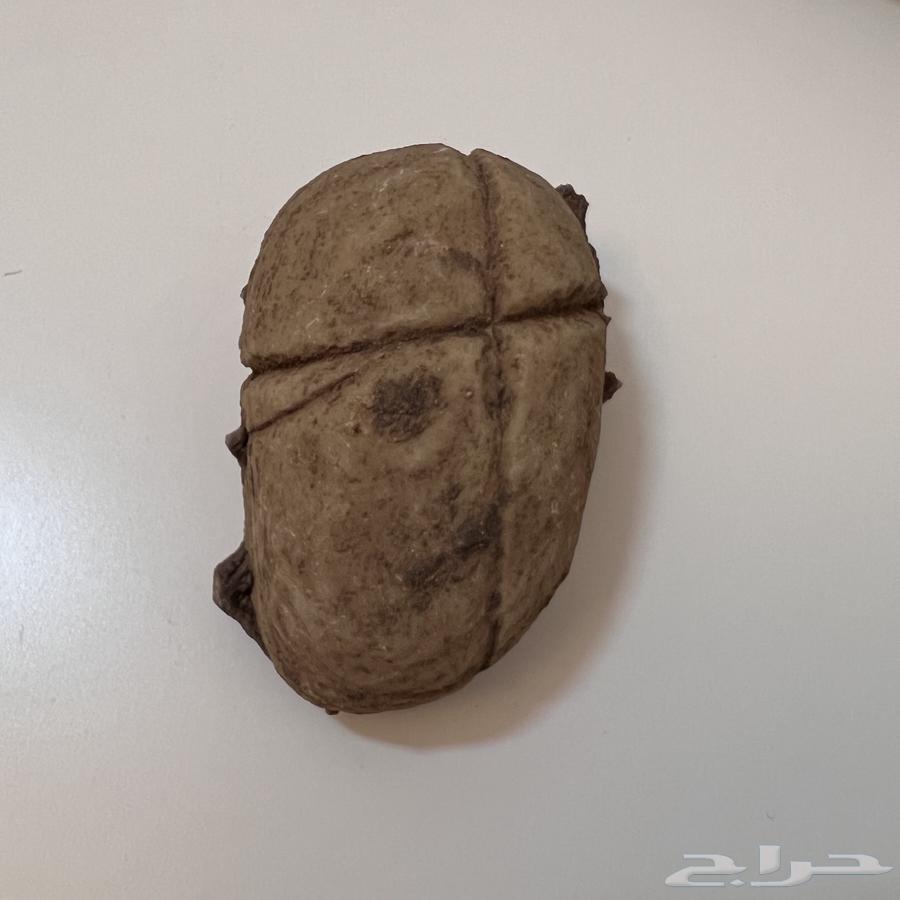 حجر نادر63018879677570113