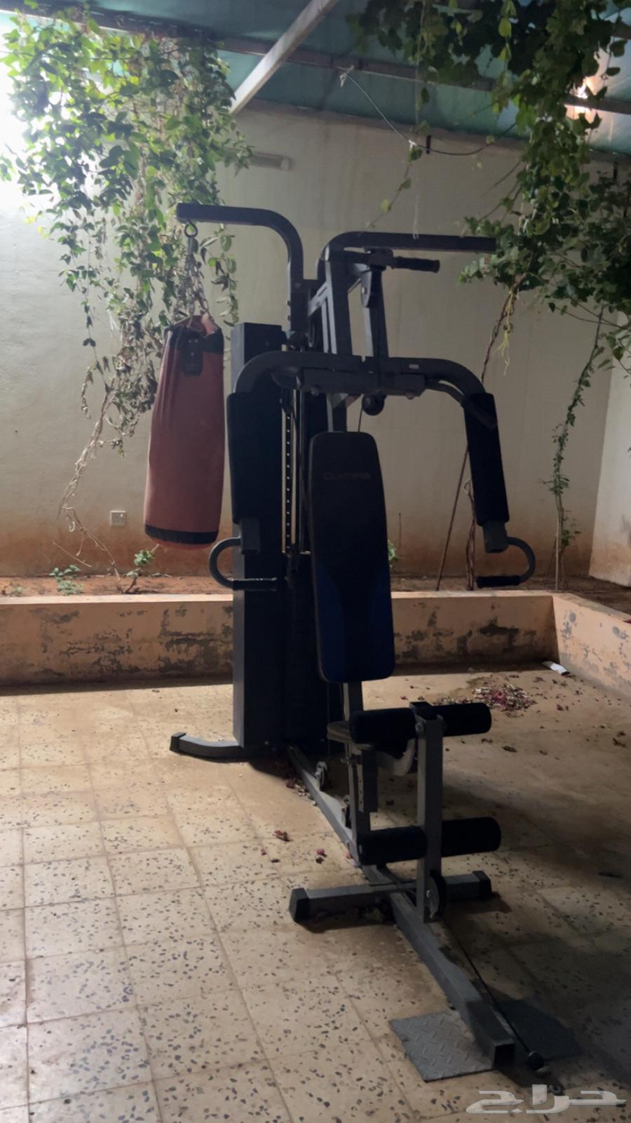 Sports device63014963277569112