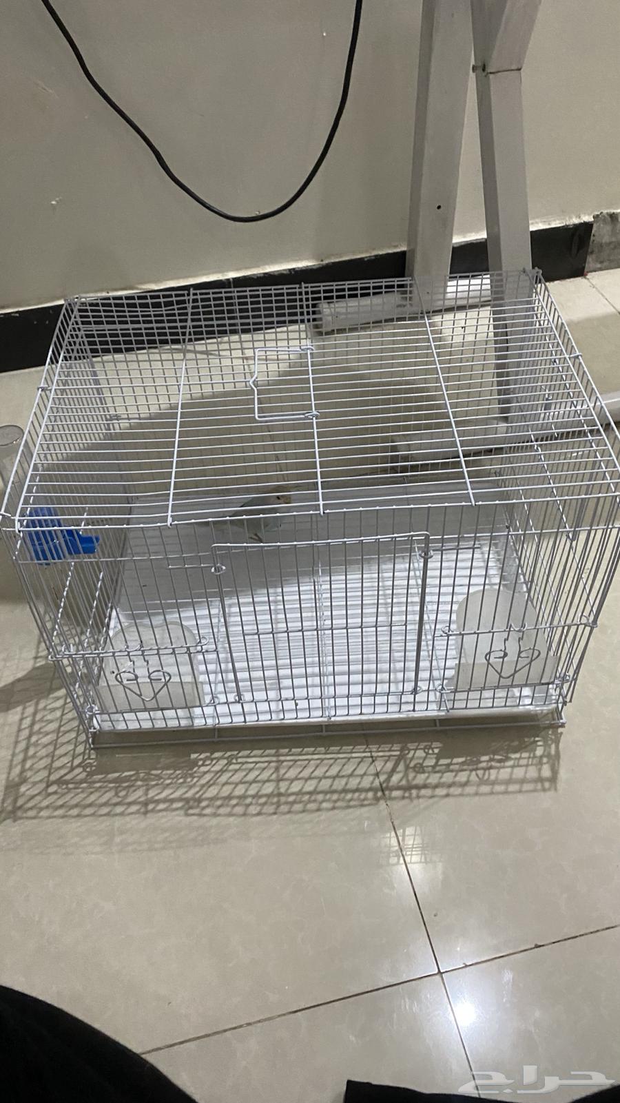 For sale: Lovebird with cage and accessories63017148256259112