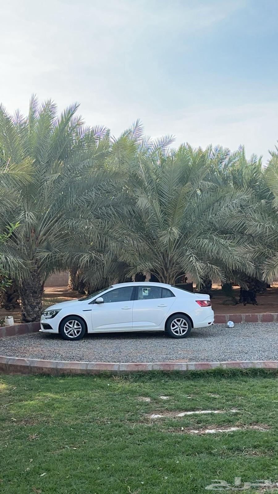 رينو ميغان202063018250407426112