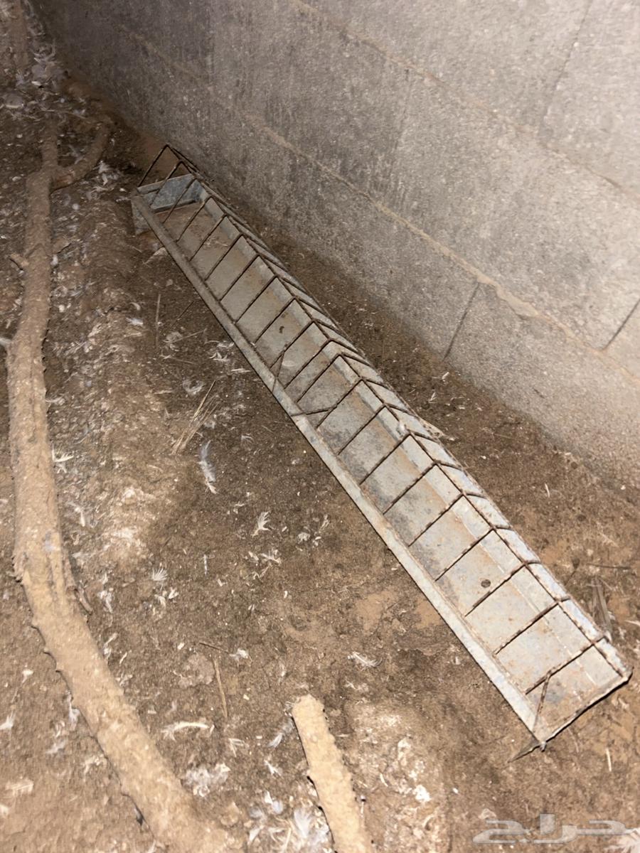 50 pieces of clean plastic sticks63017999149057111