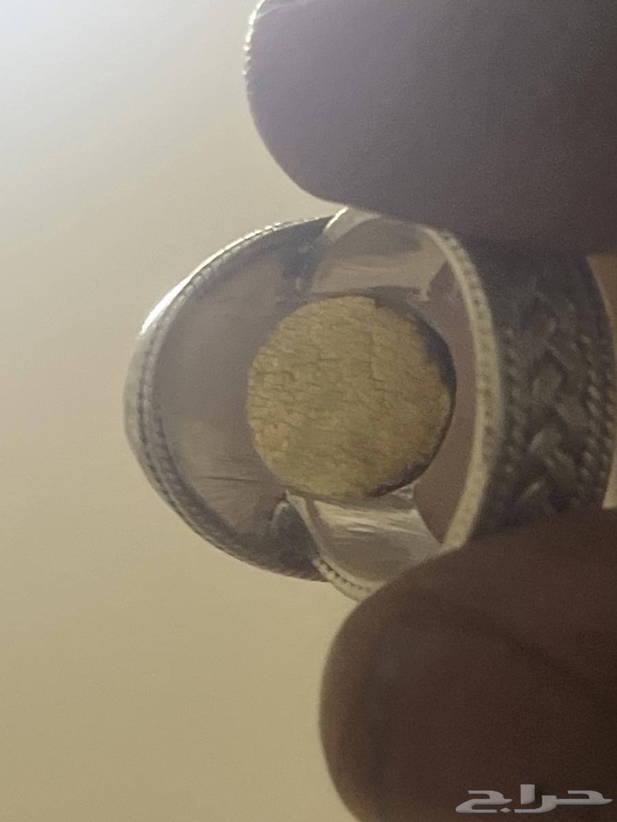 Silver Zara ring63016738872195114