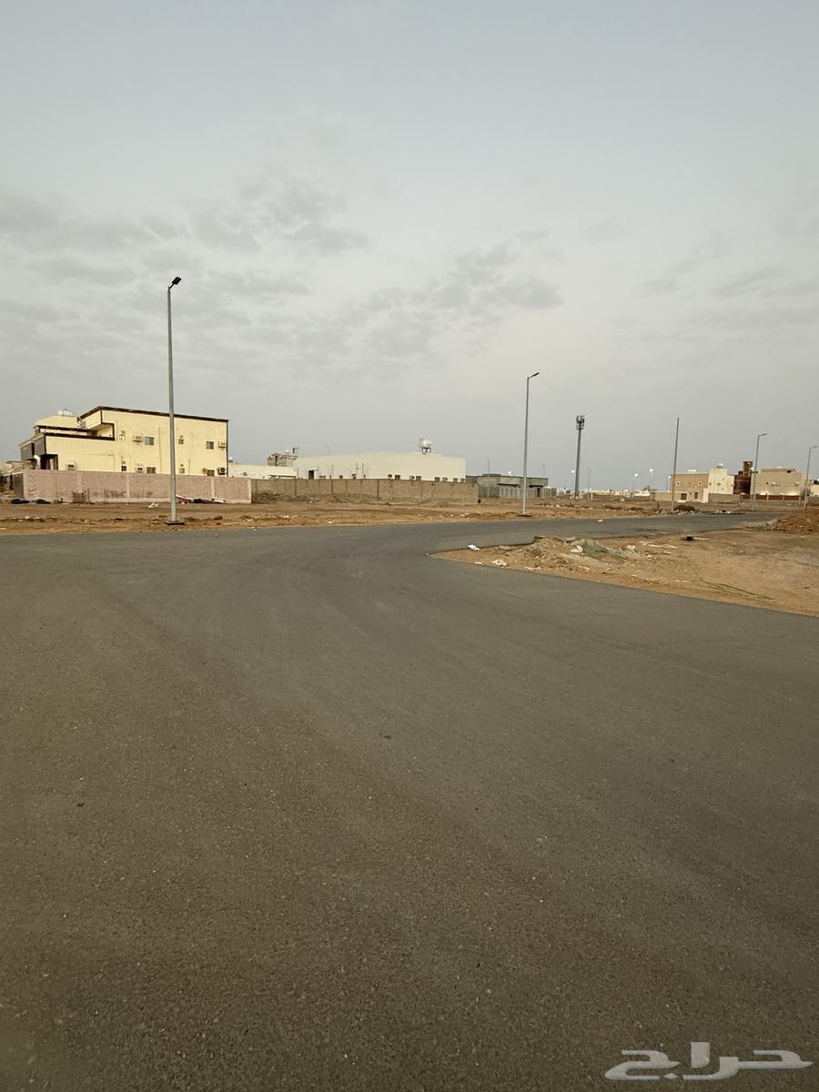 Land for sale in Al-Naeem area, measuring 770 square meters63012030366339111