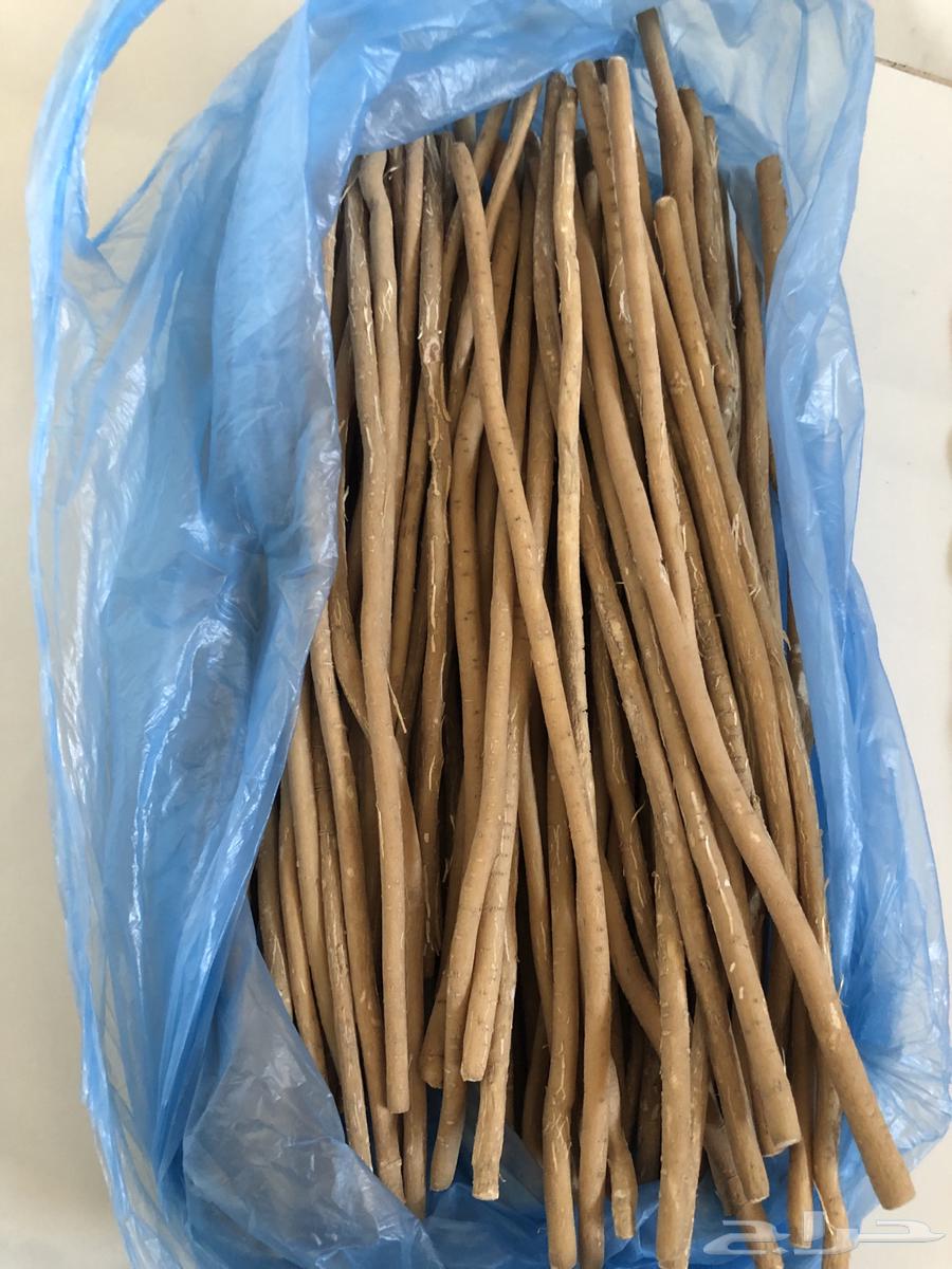 Miswak, I saw you63470727237121111