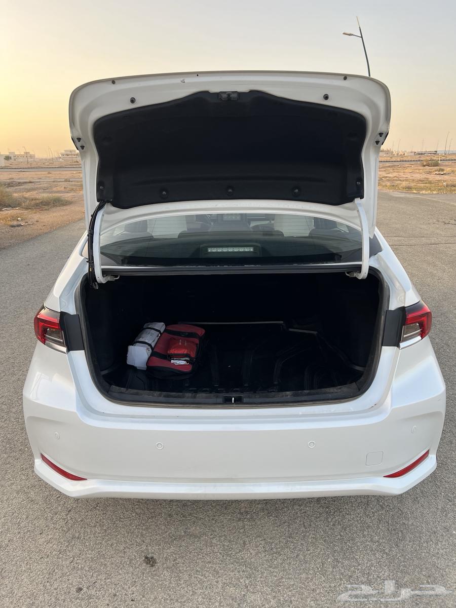 Corolla 202463017824305538114
