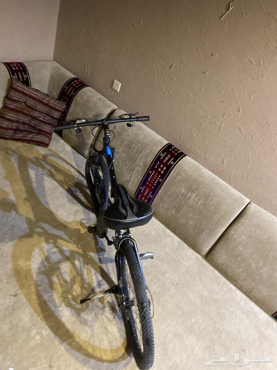 New mountain bike for sale at a very special price630169877964831111
