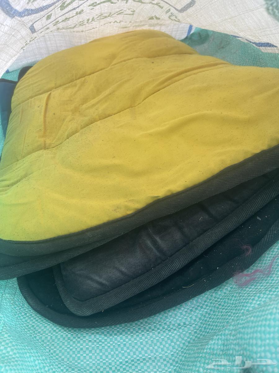 Saddle and horse riding equipment63016299072899112