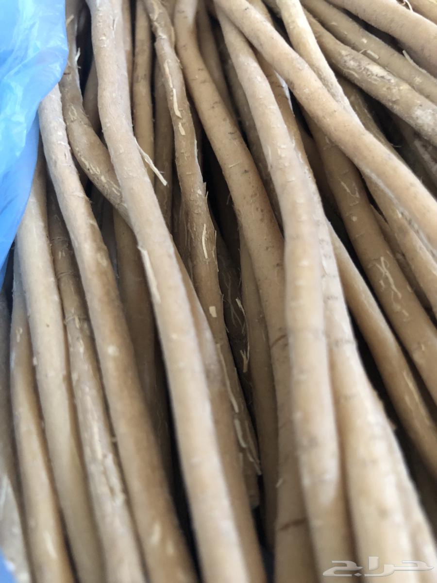 Miswak, I saw you63470727237121112