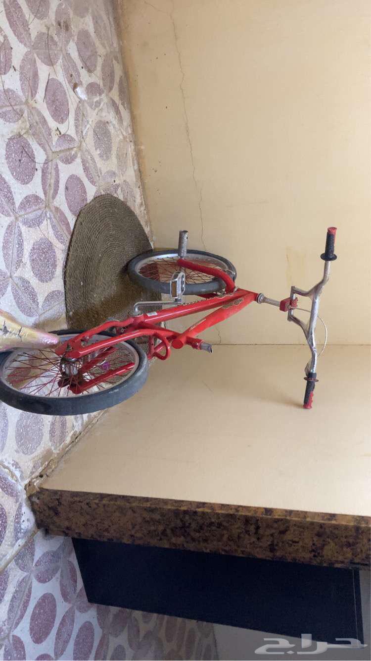 سيكل كوبرا63015877742338113