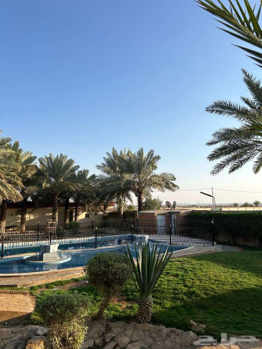 استراحة قسمين كبيرة في بنبان63017566811393114