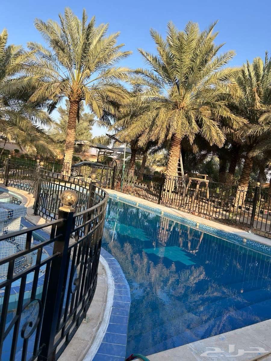استراحة قسمين كبيرة في بنبان63017566811393111