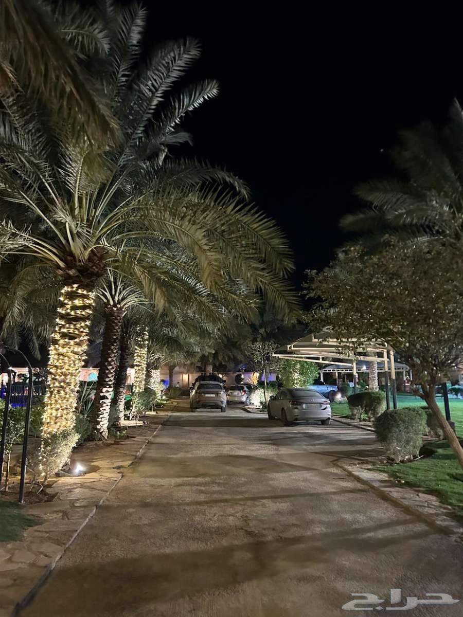 استراحة قسمين كبيرة في بنبان63017566811393112