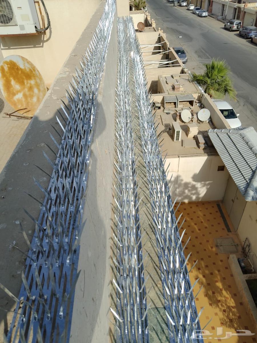 طارد حمام طارد طيور63012046982787111