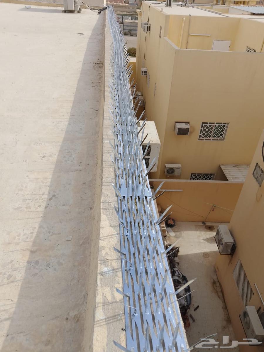 طارد حمام طارد طيور63012046982787110
