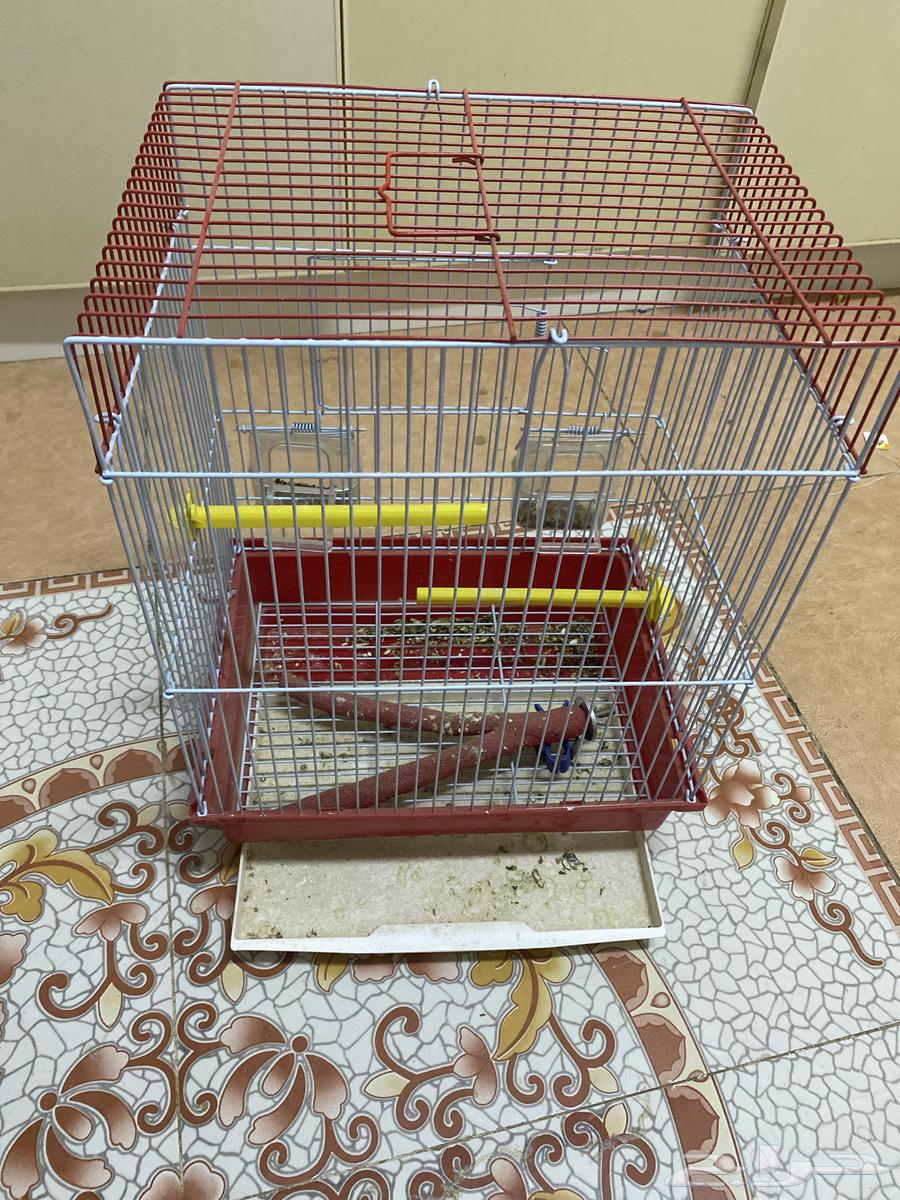 New bird cage63016320807170112