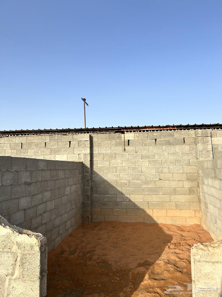 Stable for rent with large area63012225977859111