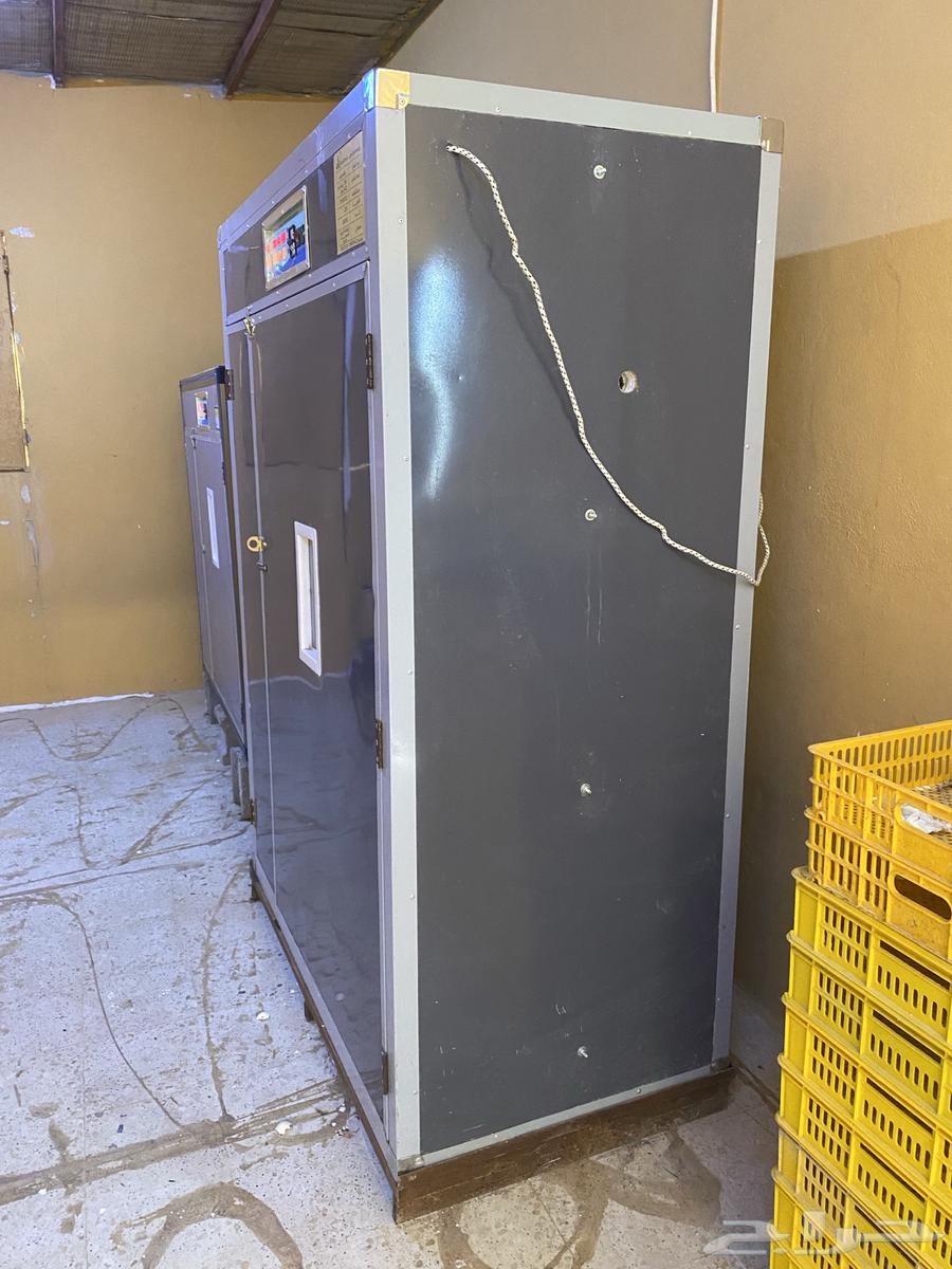 Incubator for sale63013163363459112