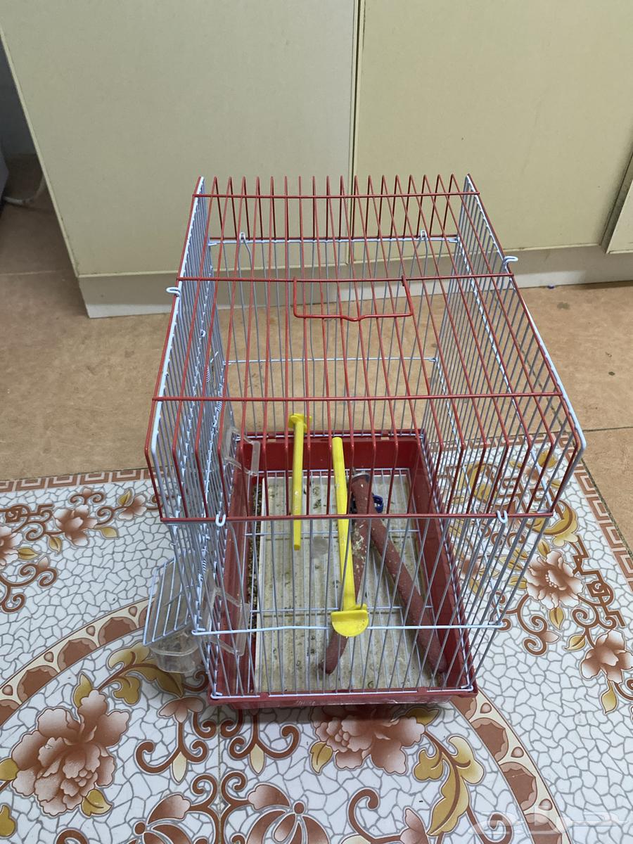 New bird cage63016320807170111